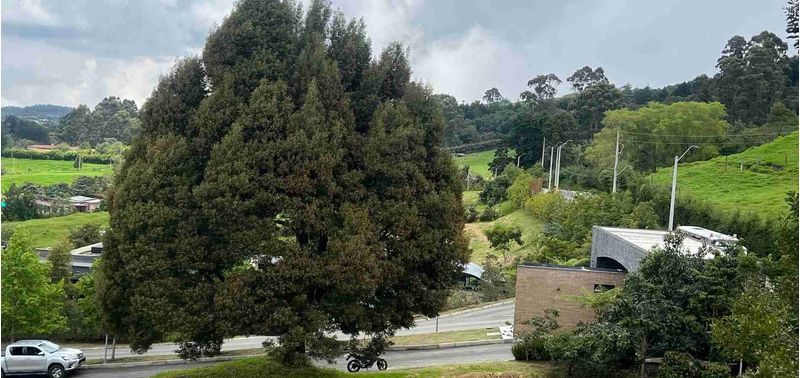 Lote en Venta en Medellín, El Plan-1