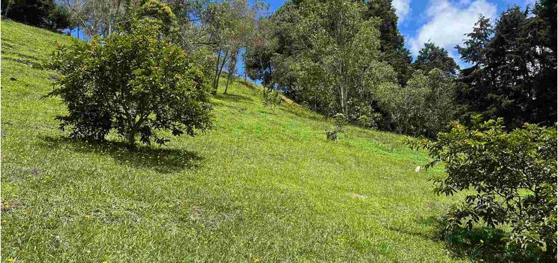 Lote en Venta en Rionegro, Marinilla