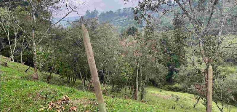 Lote en Venta en Rionegro, Marinilla-2