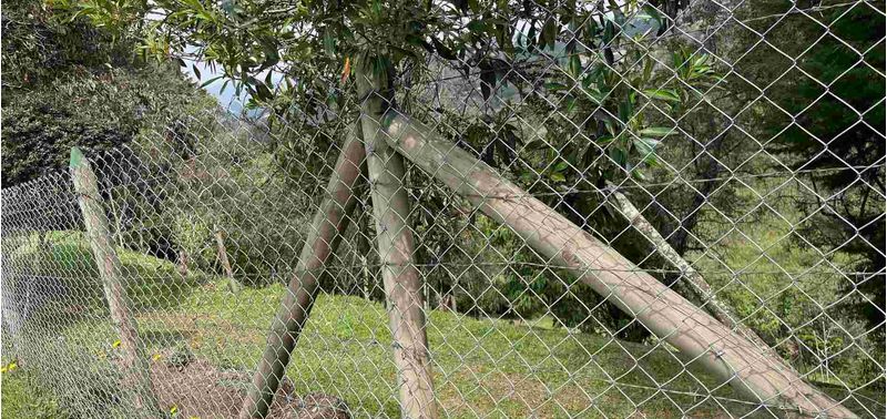 Lote en Venta en Rionegro, Marinilla-3