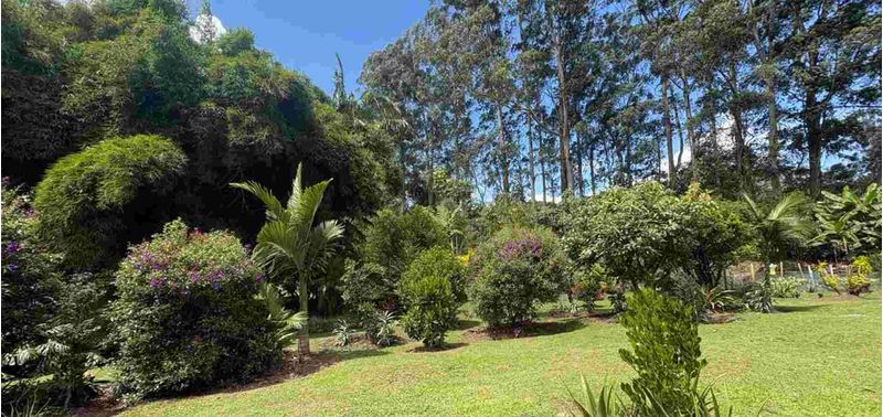 Casa en Venta en La Ceja, Laureles-8