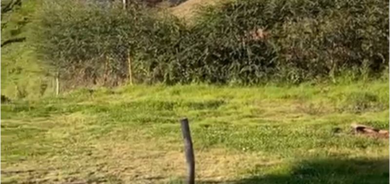 Lote en Venta en Retiro, Lejos del Nido-8