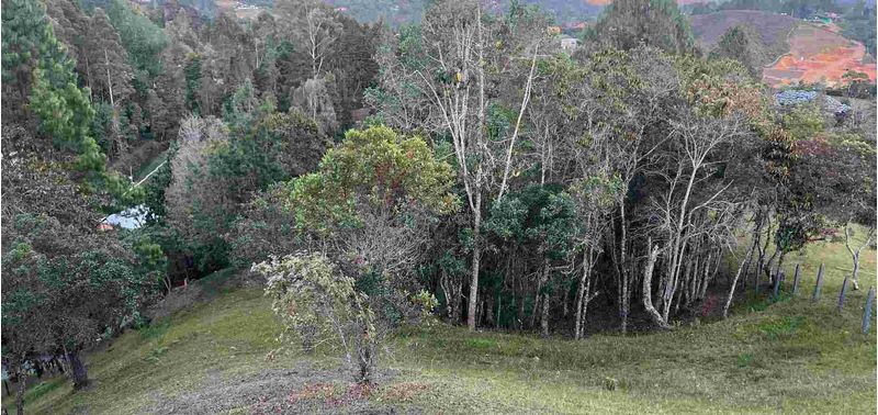 Lote en Venta en Envigado, Alto De Palmas-4