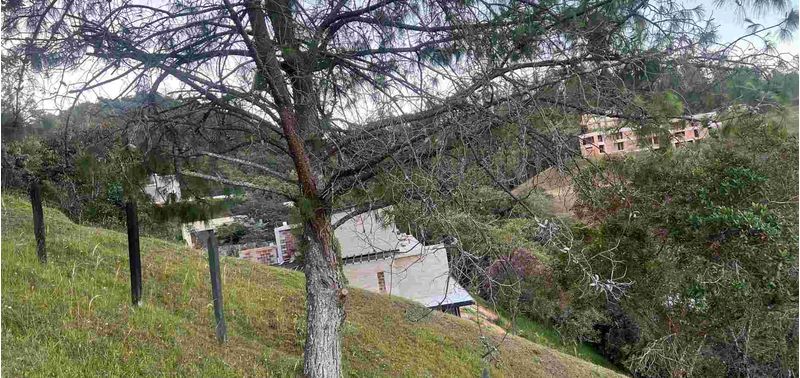 Lote en Venta en Envigado, Alto De Palmas-5