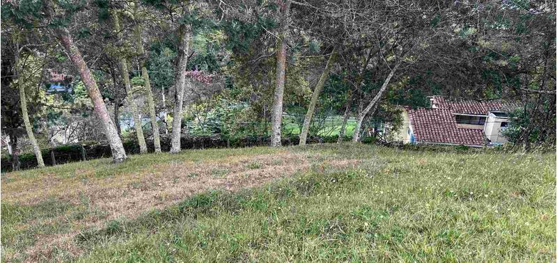 Lote en Venta en Envigado, Alto De Palmas-7