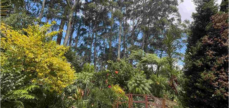 Casa en Venta en La Ceja, Laureles-43