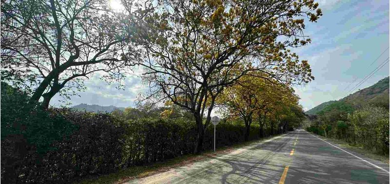 Lote en Venta en Santa Fé De Antioquia, Santa Fe Antioquia-0