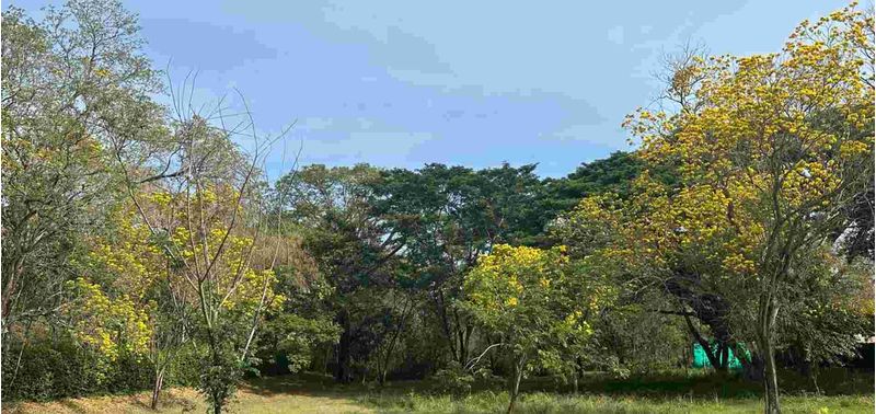 Lote en Venta en Santa Fé De Antioquia, Santa Fe Antioquia-7
