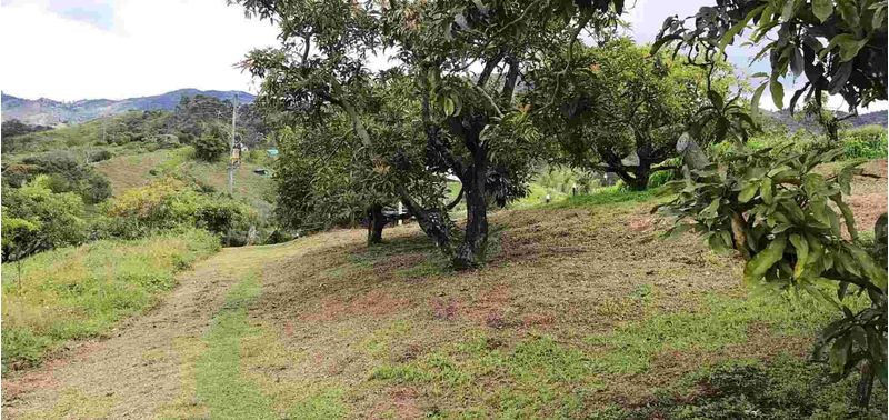 Lote en Venta en Peñol, Peñol-2