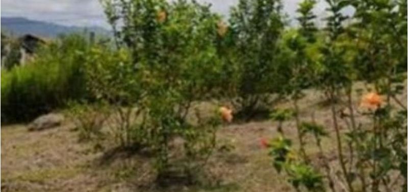 Lote en Venta en Fusagasugá, Fusagasugá-0