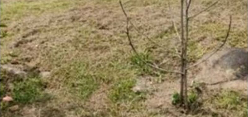 Lote en Venta en Fusagasugá, Fusagasugá-5