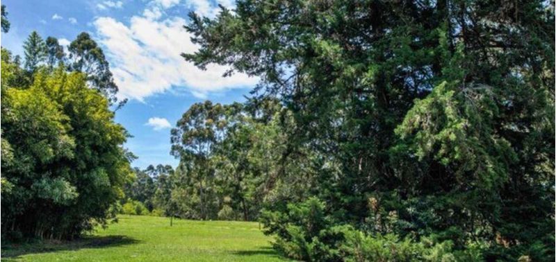 Lote en Venta en Rionegro, Rionegro-6