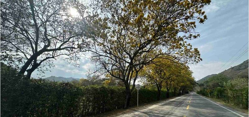 Lote en Venta en Santa Fé De Antioquia, Santa Fe Antioquia-0