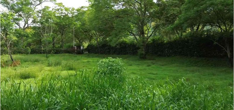 Lote en Venta en Santa Fé De Antioquia, Santa Fe Antioquia-3