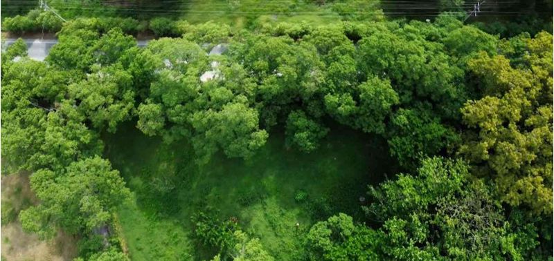 Lote en Venta en Santa Fé De Antioquia, Santa Fe Antioquia-7