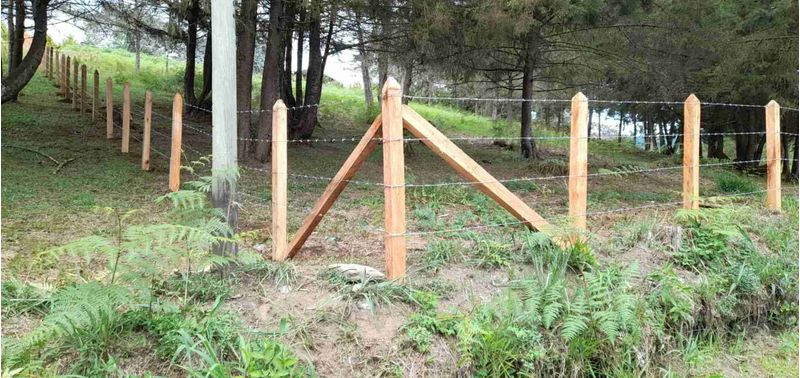 Lote en Venta en La Ceja, La Ceja-1