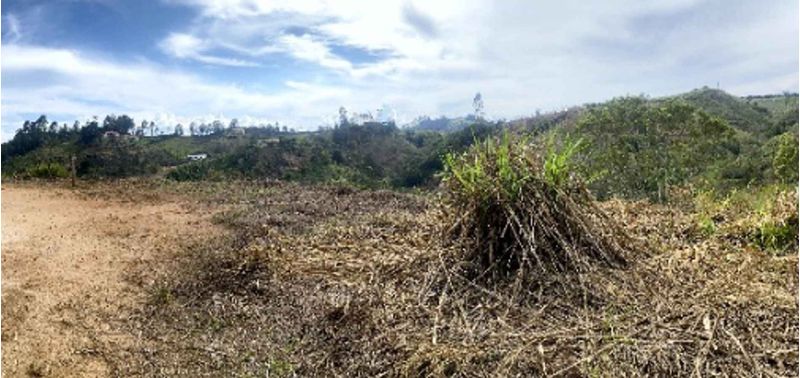 Lote en Venta en San Vicente Ferrer, San Vicente-2
