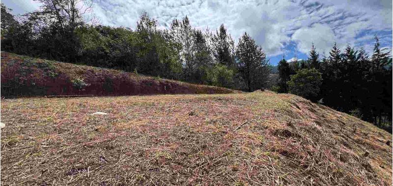 Lote en Venta en Guarne, Toldas-1