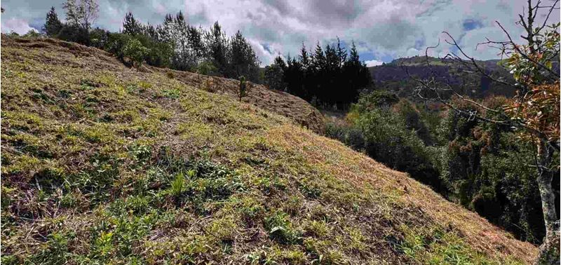 Lote en Venta en Guarne, Toldas-5