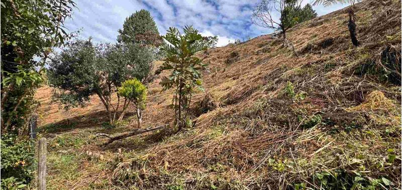 Lote en Venta en Guarne, Toldas-10