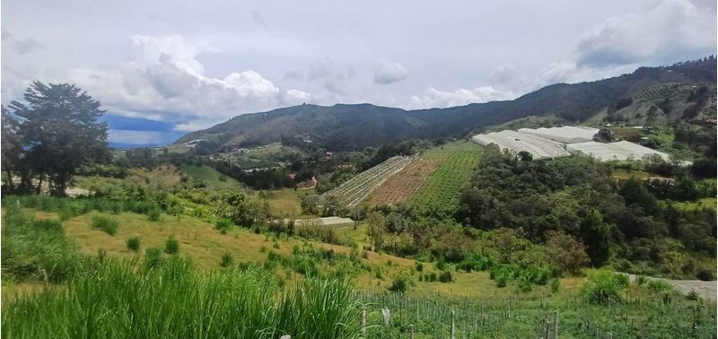 Lote en Venta en San Vicente Ferrer, San Vicente-0
