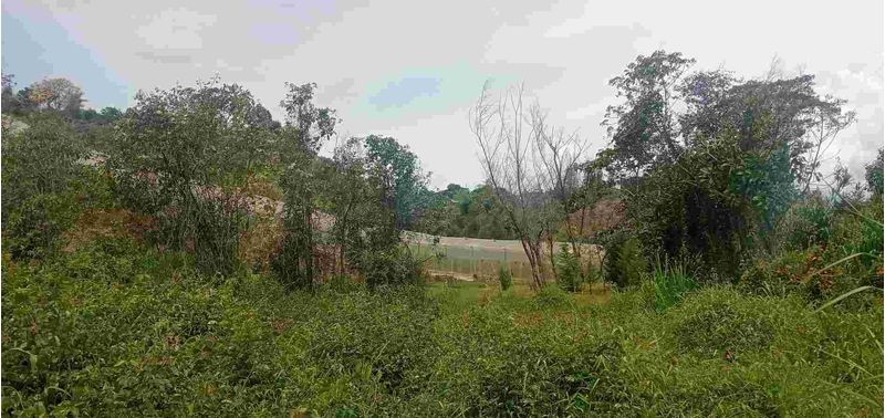 Lote en Venta en San Vicente Ferrer, San Vicente-3