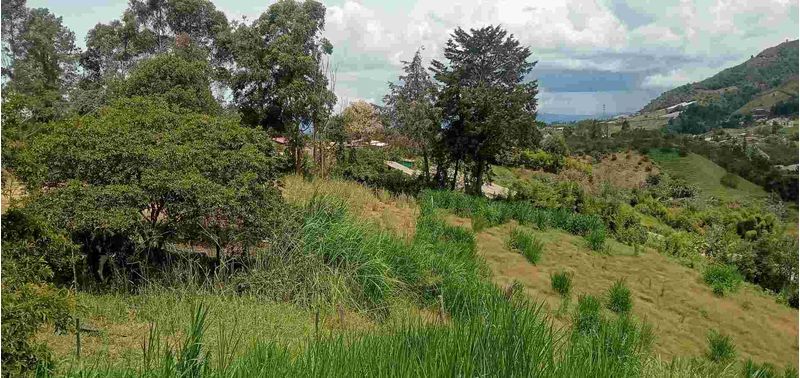 Lote en Venta en San Vicente Ferrer, San Vicente-4