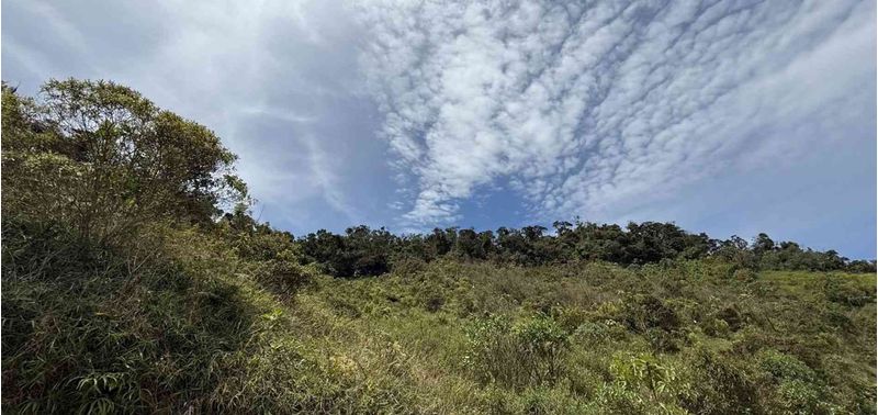 Lote en Venta en Concepción, Concepción-5