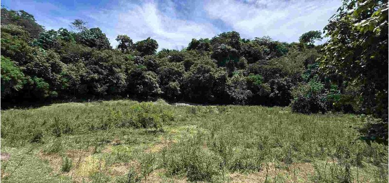 Lote en Venta en Santa Fé De Antioquia, Santa Fe Antioquia