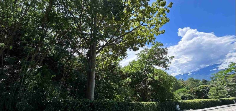 Lote en Venta en Santa Fé De Antioquia, Santa Fe Antioquia-1