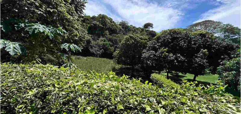 Lote en Venta en Santa Fé De Antioquia, Santa Fe Antioquia-3