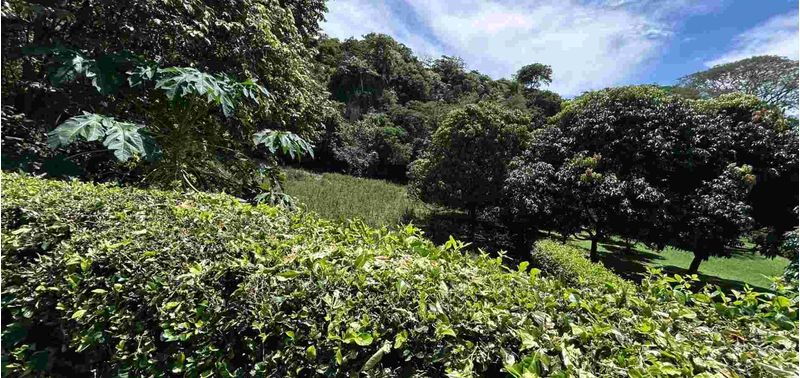Lote en Venta en Santa Fé De Antioquia, Santa Fe Antioquia-4