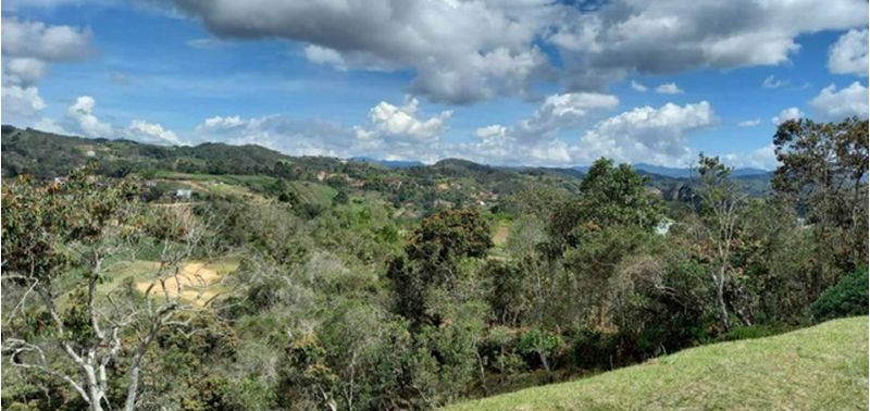 Lote en Venta en San Vicente Ferrer, San Vicente-2