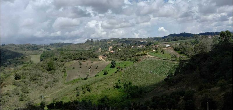 Lote en Venta en San Vicente Ferrer, San Vicente-10