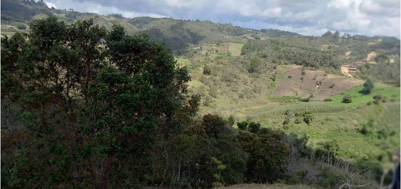 Lote en Venta en San Vicente Ferrer, San Vicente-11