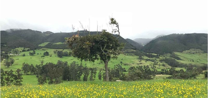 Lote en Venta en La Calera, Vereda San Jose-2