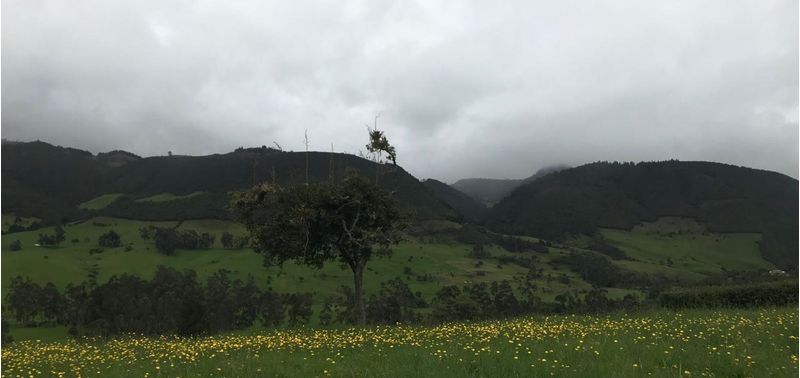 Lote en Venta en La Calera, Vereda San Jose-4