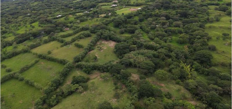 Lote en Venta en Támesis, Támesis-4