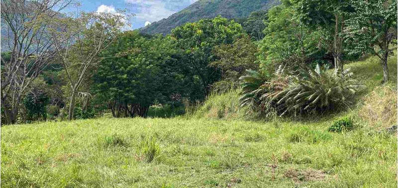 Lote en Venta en Titiribí, Titiribí-1
