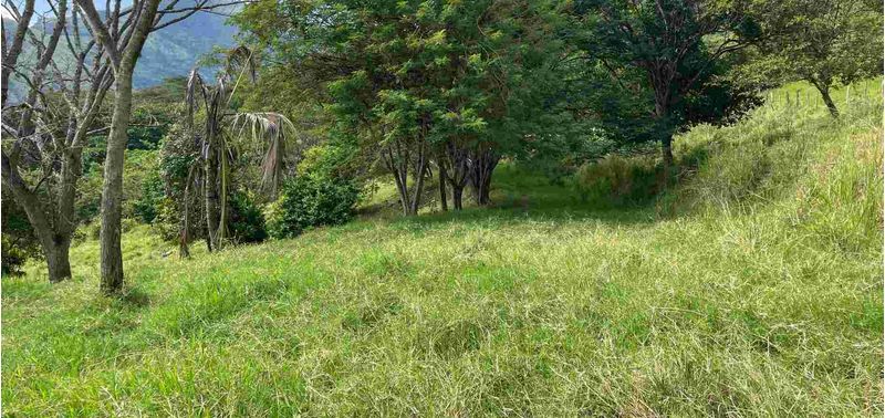 Lote en Venta en Titiribí, Titiribí-4
