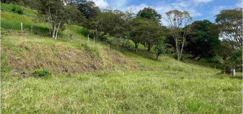 Lote en Venta en Titiribí, Titiribí-6