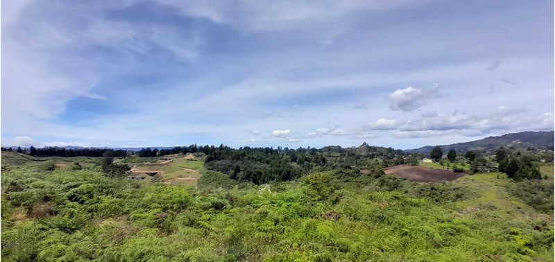 Lote en Venta en Guarne, Canoas-2