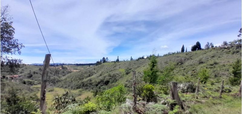 Lote en Venta en Guarne, Canoas-5