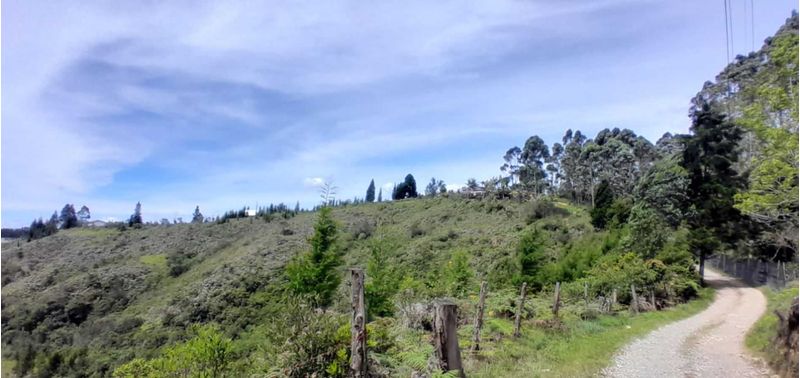 Lote en Venta en Guarne, Canoas-7