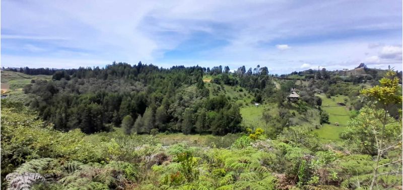Lote en Venta en Guarne, Canoas-9