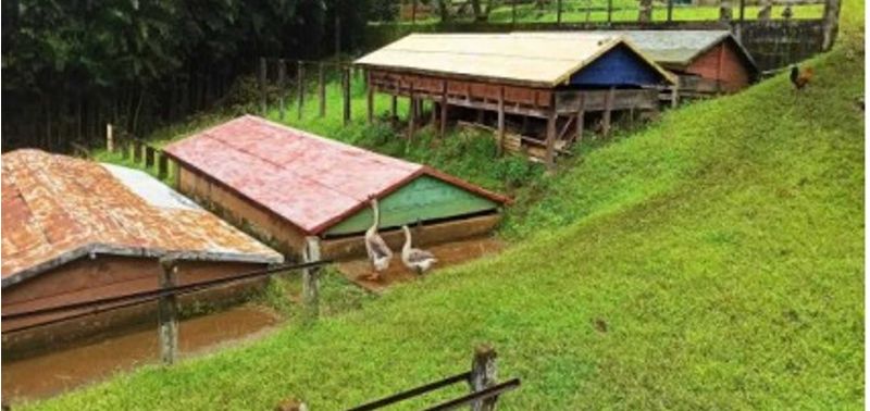 Lote en Venta en Andes, Andes-7