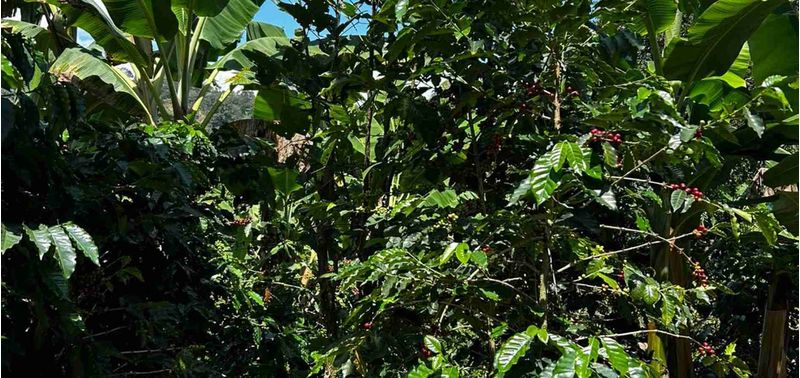 Lote en Venta en Andes, Andes-12
