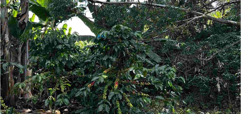 Lote en Venta en Andes, Andes-13