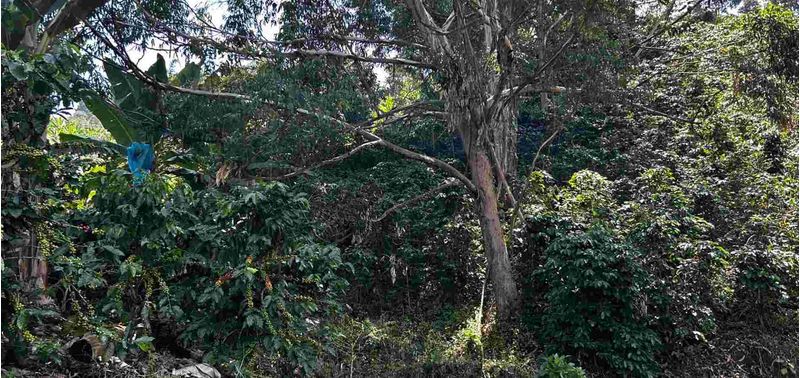 Lote en Venta en Andes, Andes-14