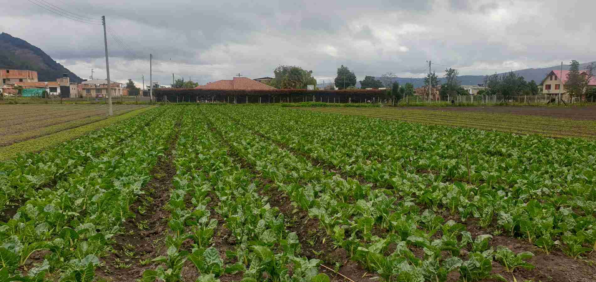 Lote en Venta en Cota, Cota-3